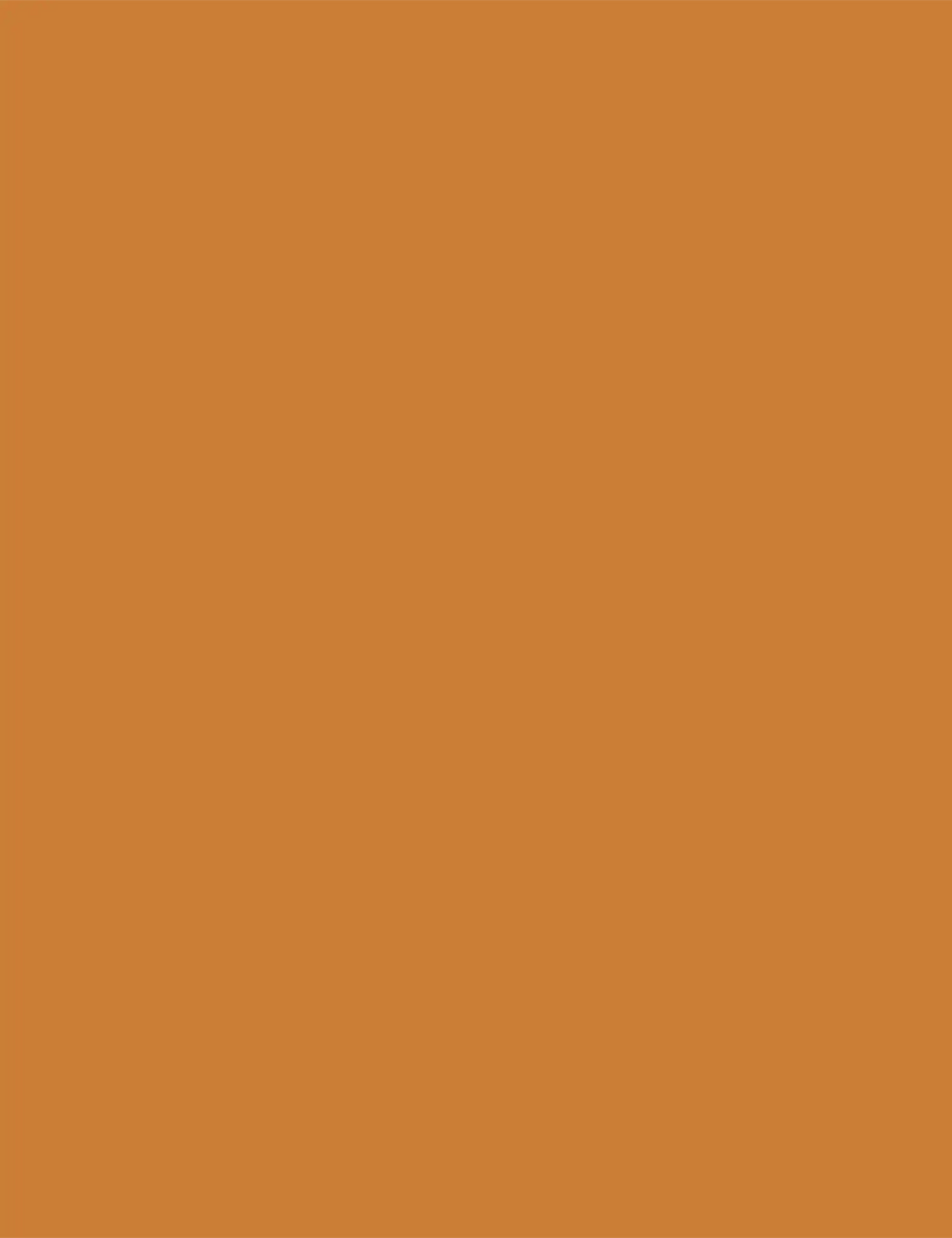 Orange paint color swatch