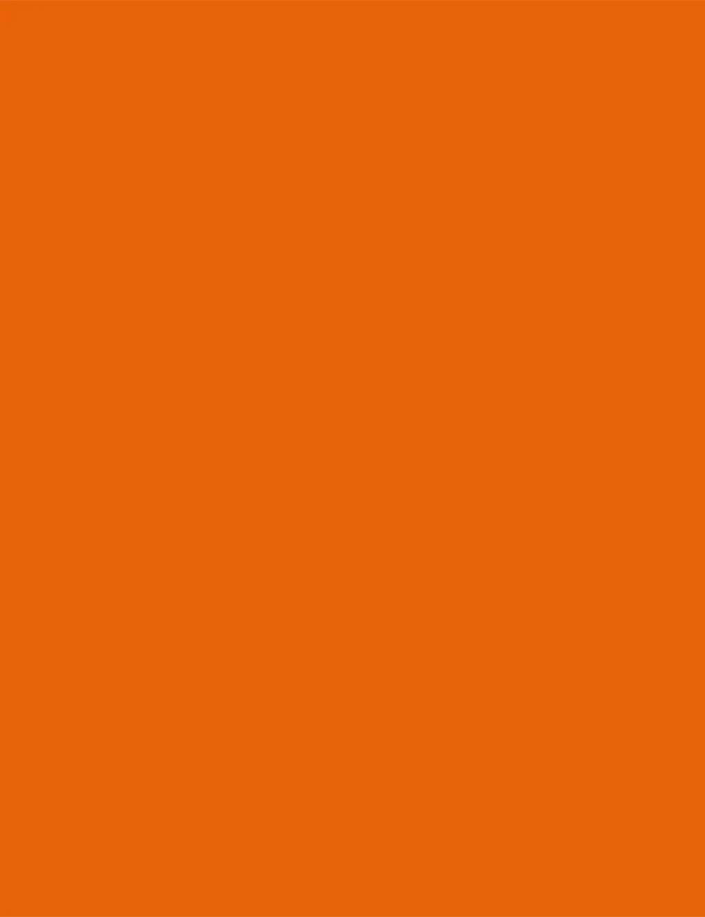 Pure orange paint color swatch
