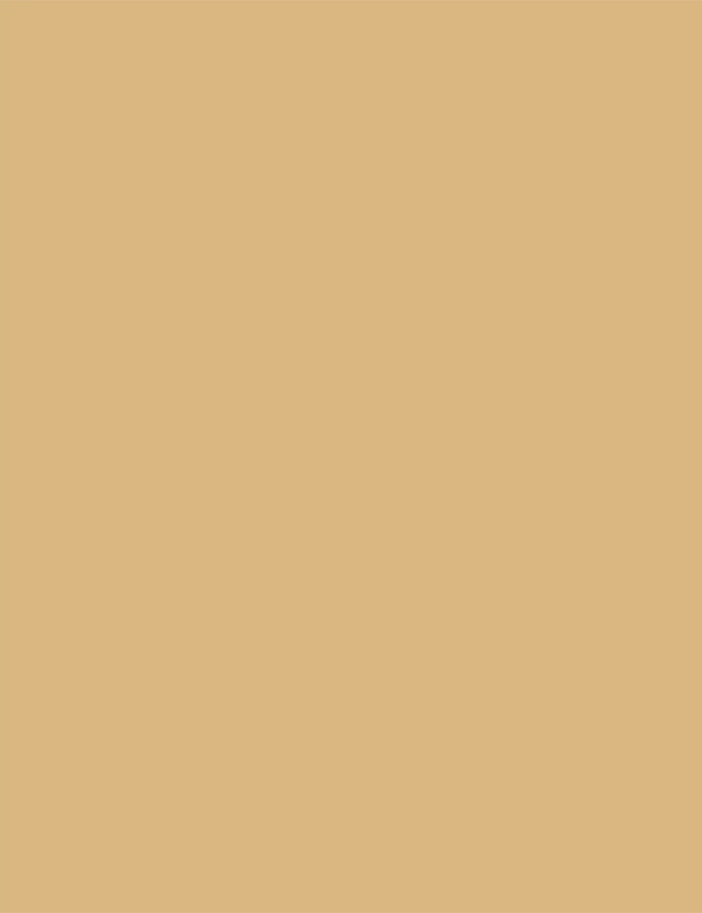 Water-Based Spray Paint 400ml - Beige BLU8025