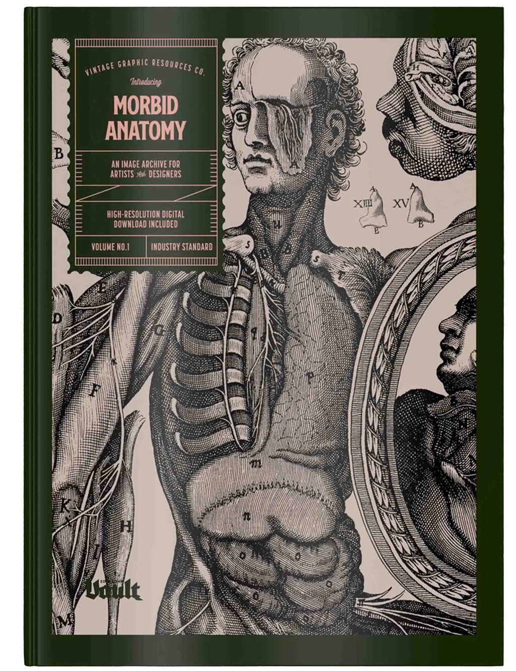 Book cover of 'Morbid Anatomy' with anatomical illustrations and text.