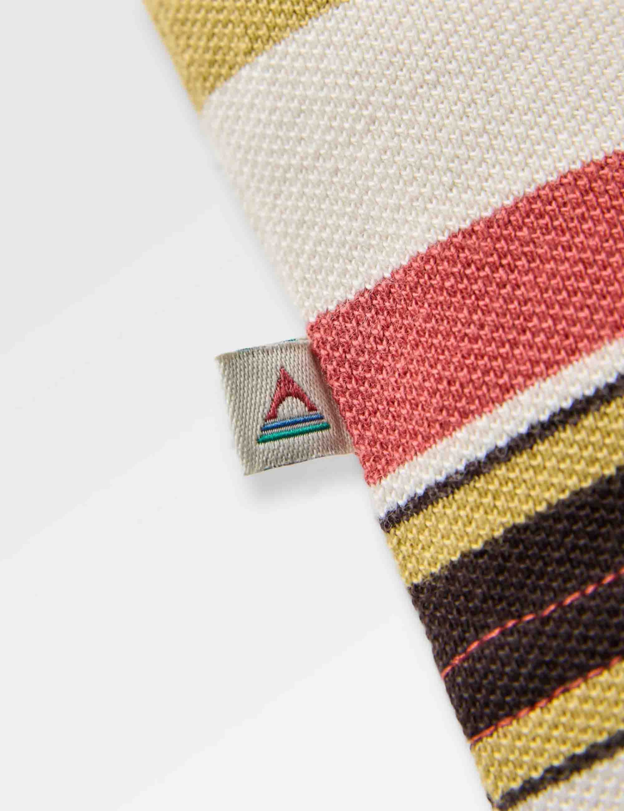 Passenger Wild Pine Stripe T-Shirt - Redwood Multi Stripe