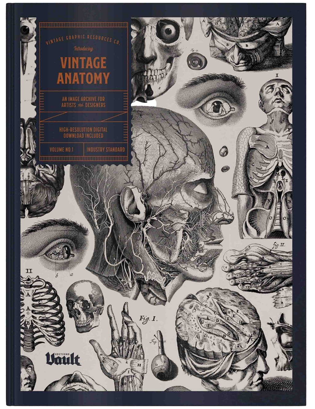 Book cover with vintage anatomical illustrations and 'Vintage Anatomy' text.