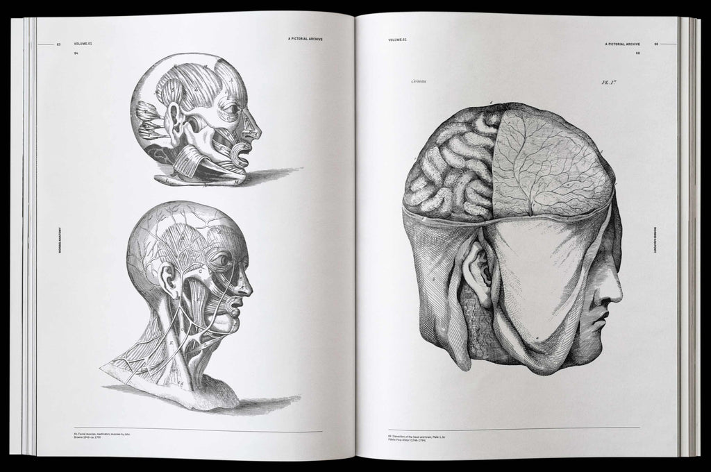 Morbid Anatomy Book by James Kale