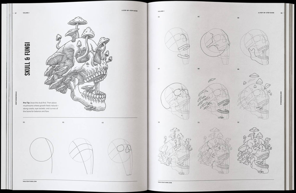 Skulls drawing book open to fungi skull sketch and rough head-drawing grids