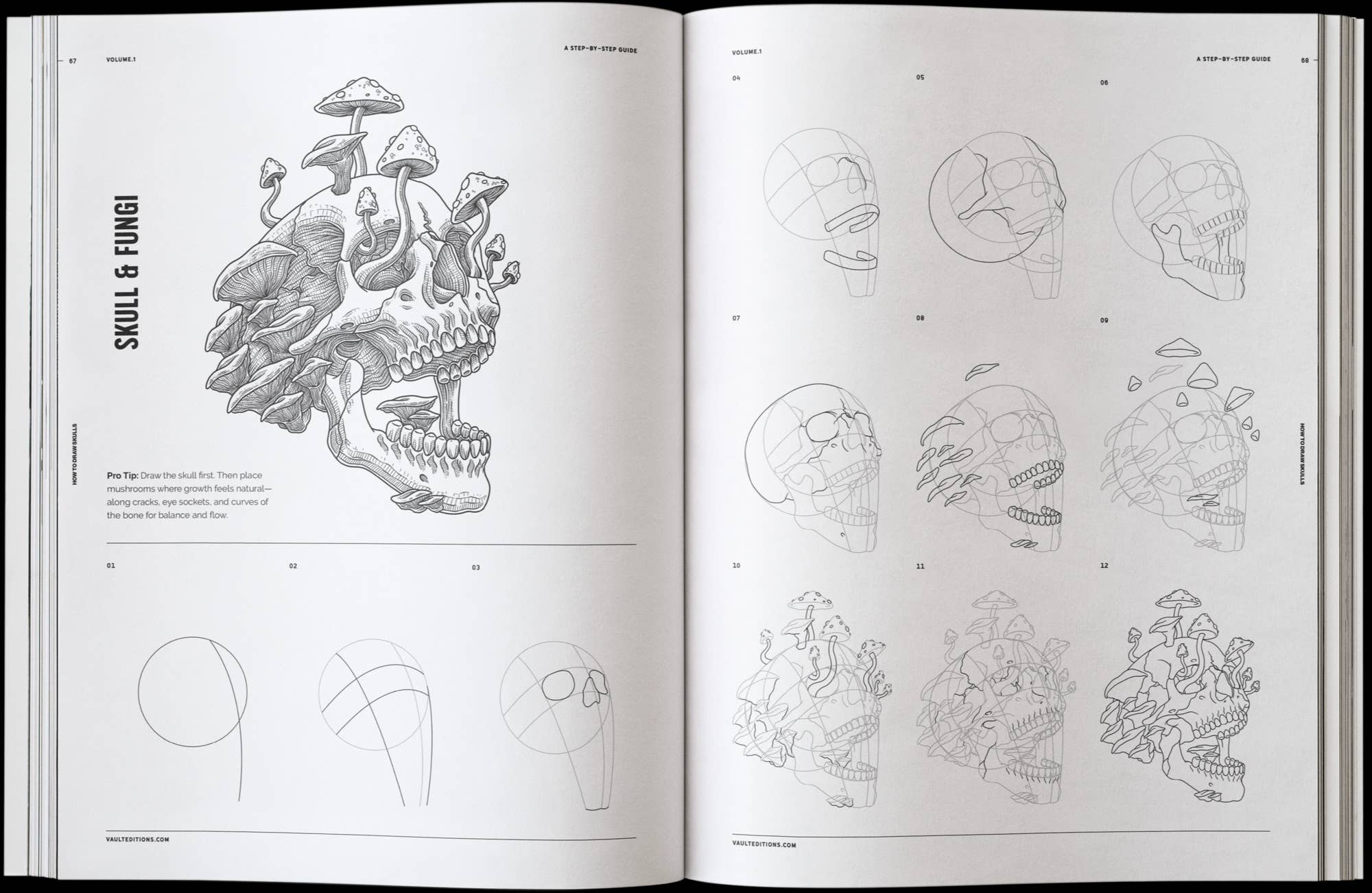 Vault Editions How to Draw Skulls Book by James Kale