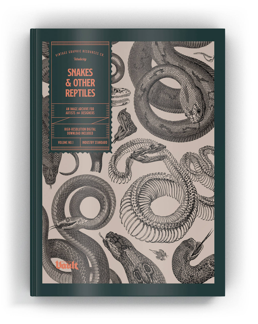 Snakes & Other Reptiles book with illustrated snake cover