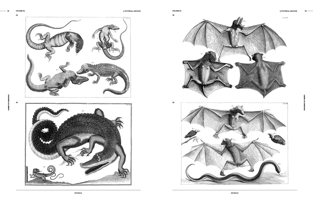 Open book spread with black-and-white engravings of lizards, bats, and other creatures
