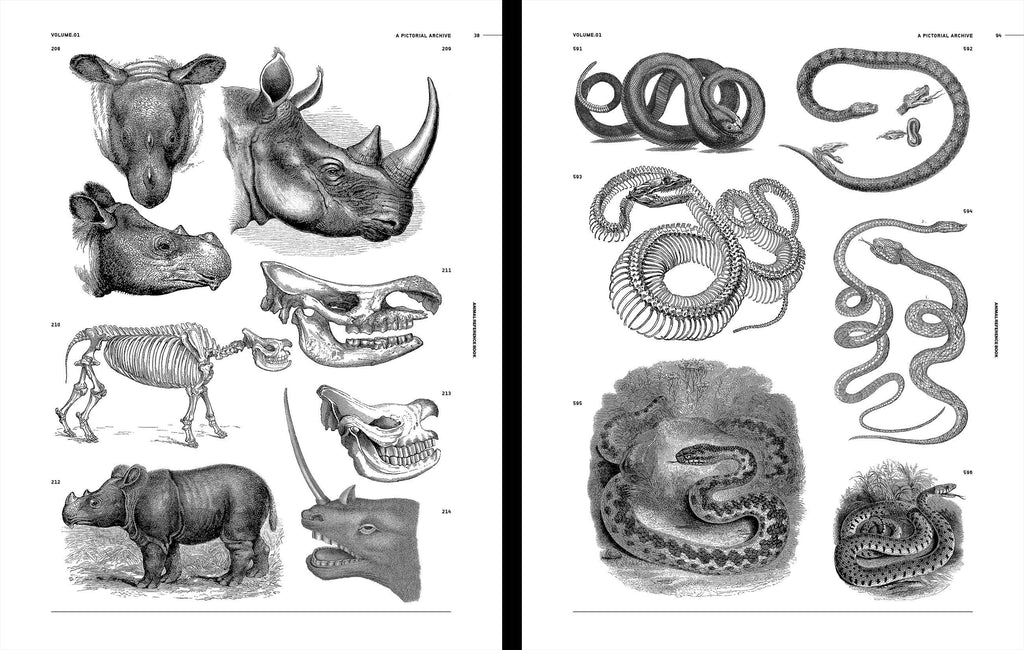 Two-page spread of black-and-white animal sketches, with rhinos and snake-like drawings