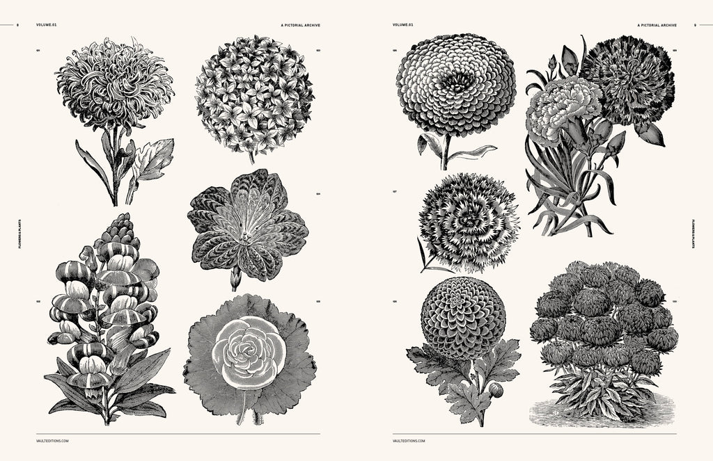 Flowers and Plants Book by James Kale