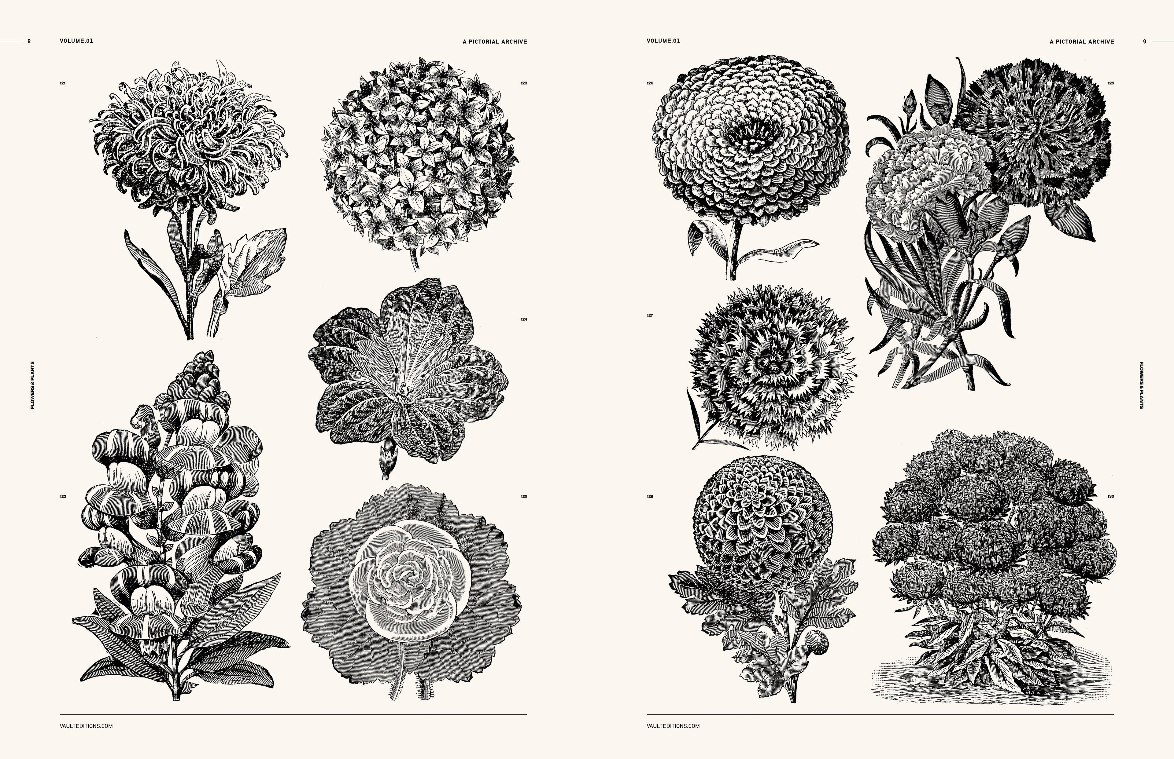 Vault Editions Flowers and Plants Book by James Kale