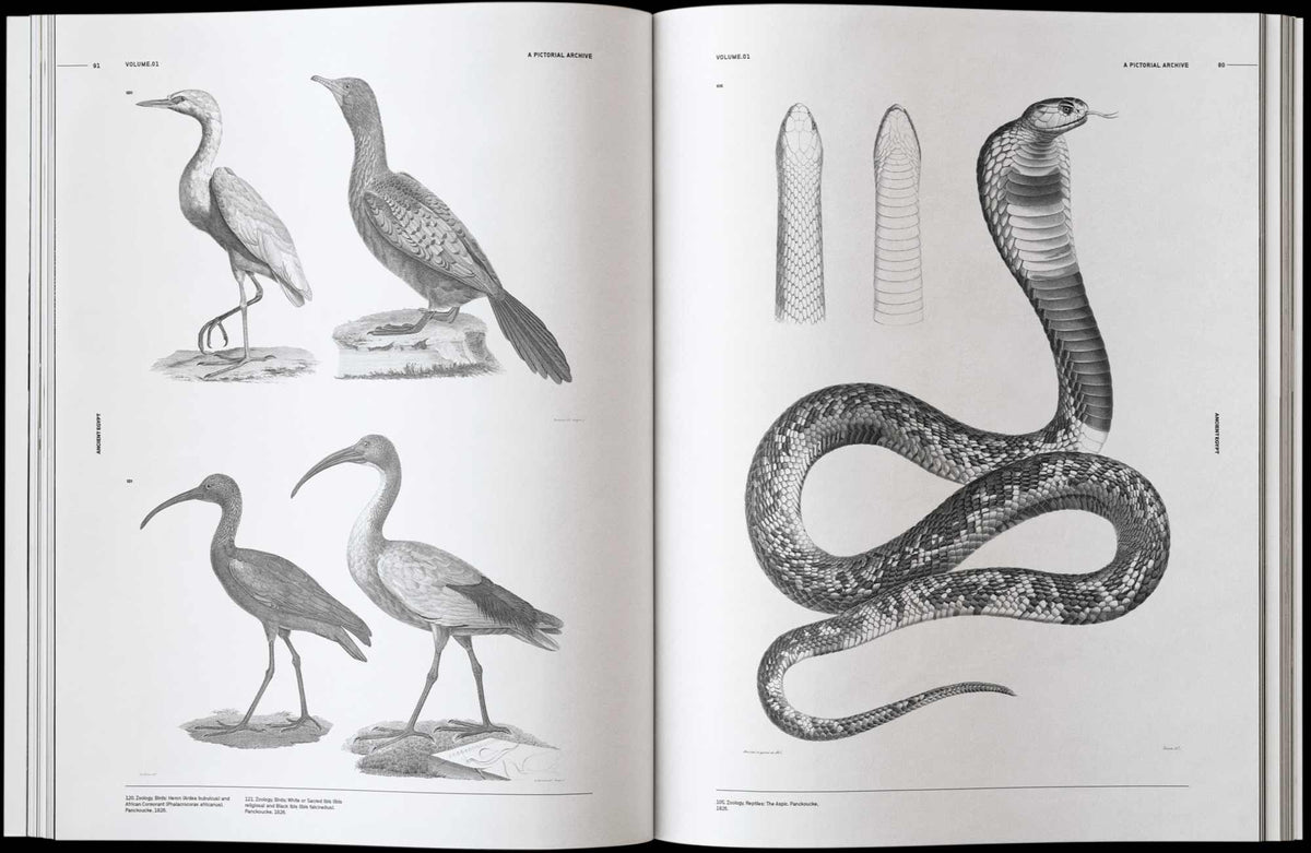 Vault Editions UK Ancient Egypt: An Image Archive for Artists and Designers