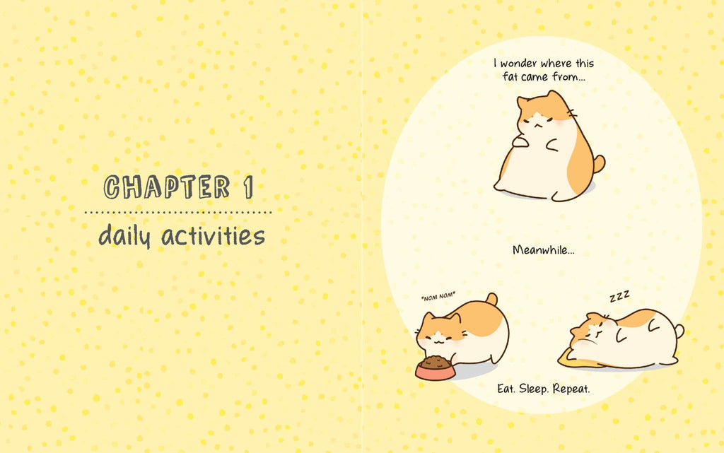 Kawaii Kitties book chapter page 1 with sleeping cat activity drawings