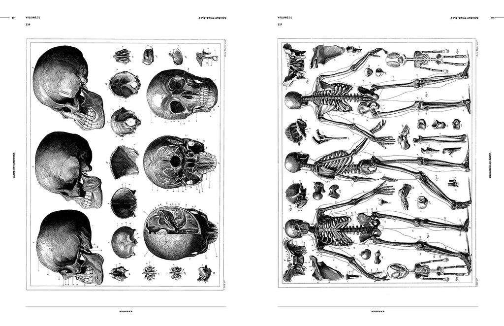 Open book spread with black-and-white engravings of skulls, shells, and skeleton parts