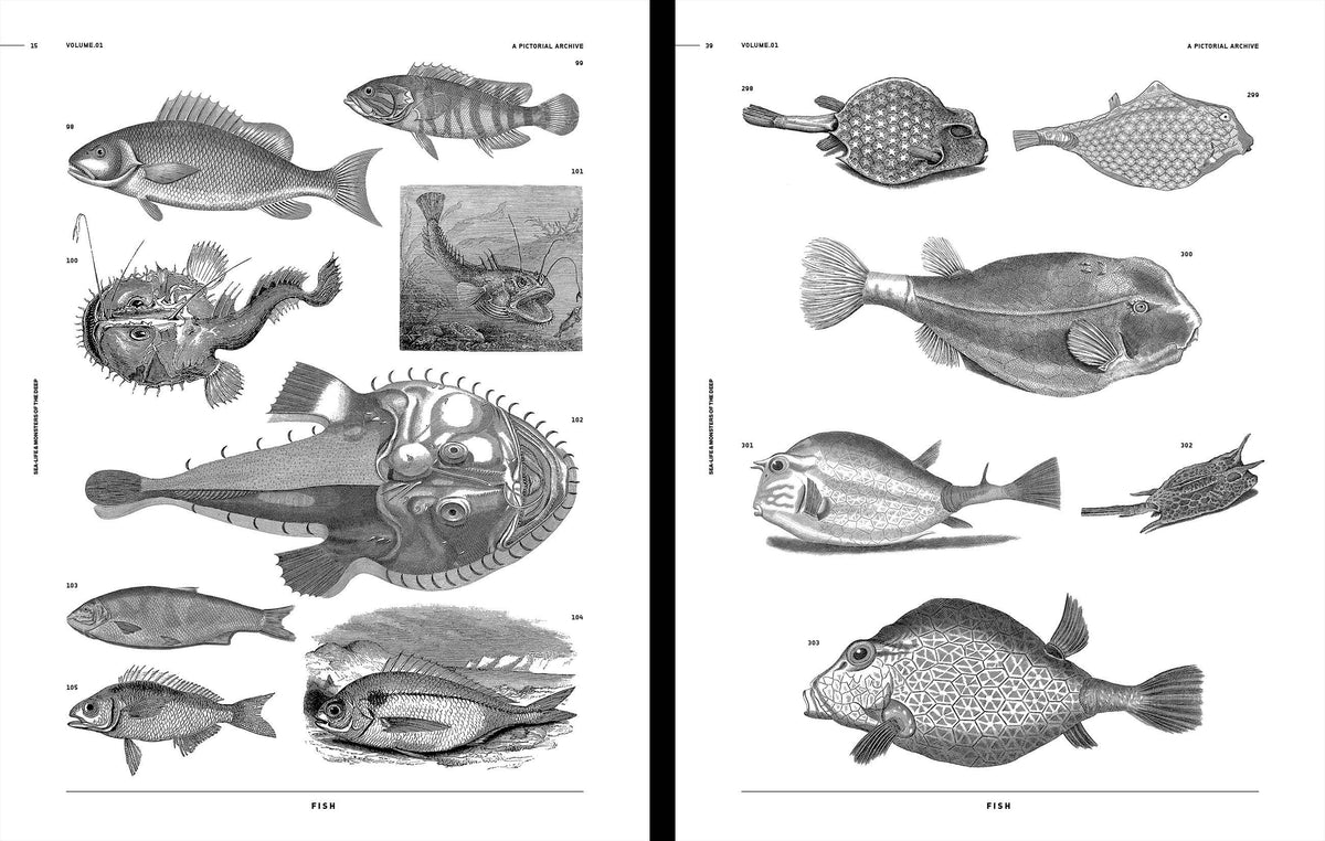 Vault Editions UK Sea-Life & Monsters of the Deep, an Image Archive