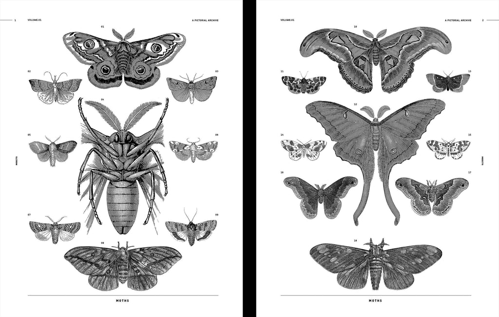 Insects reference book open to black-and-white insect diagram pages