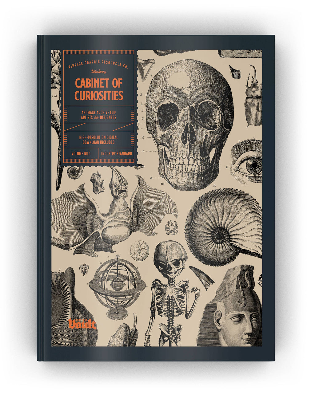 Curiosity archive book cover with skull, insects, and ornate black-and-white illustration