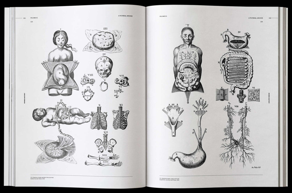 Morbid Anatomy Book by James Kale