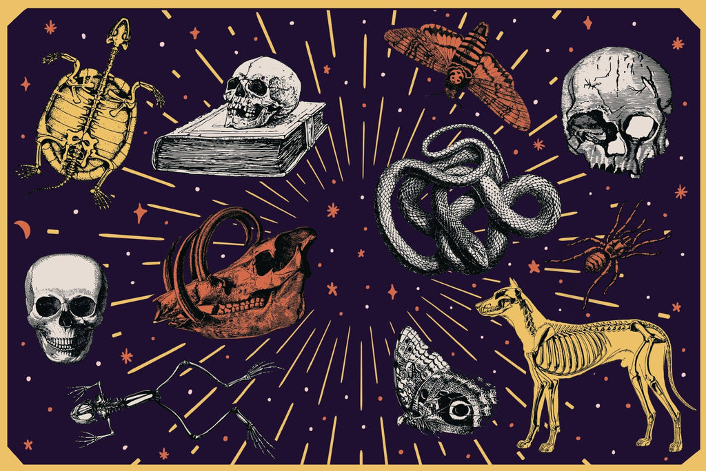 Gothic sticker sheet on dark purple with skulls, snake, books, and skeleton hand motifs