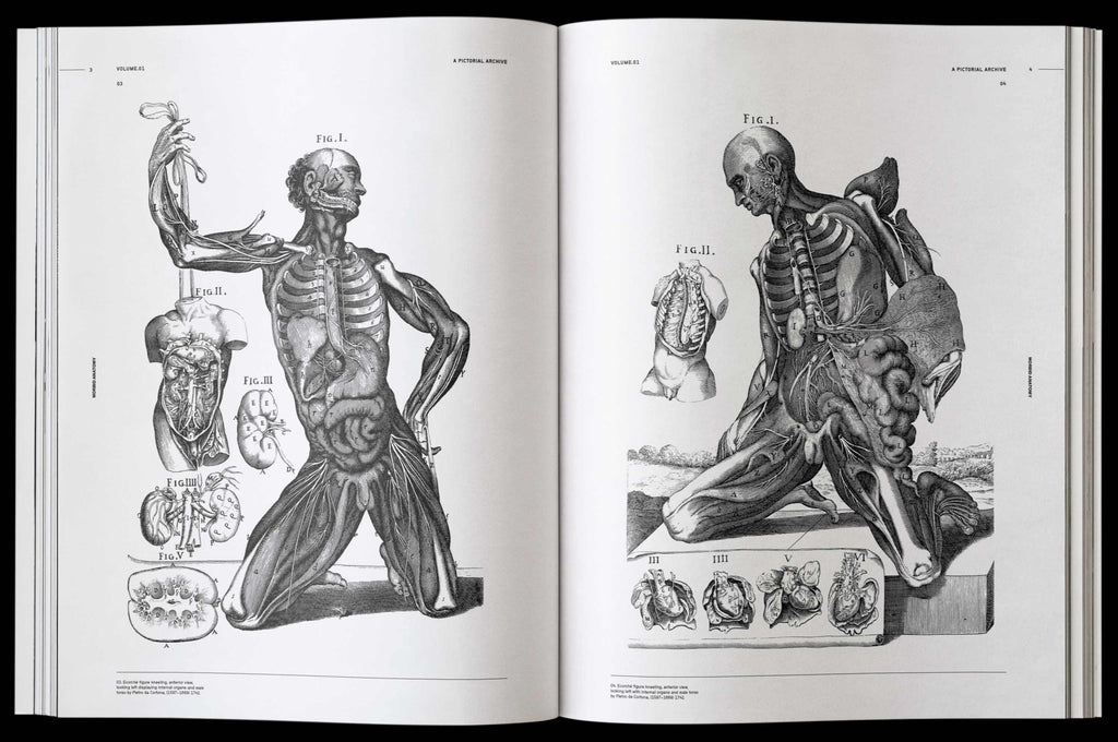 Morbid Anatomy Book by James Kale