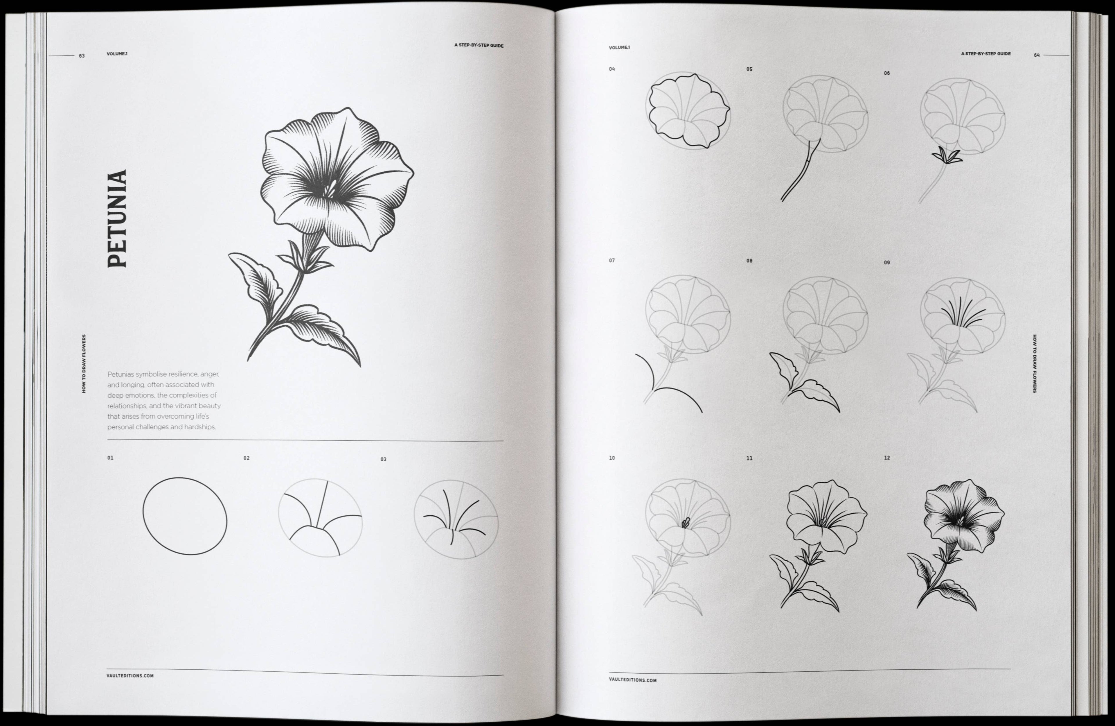 Vault Editions How to Draw Flowers Book by James Kale