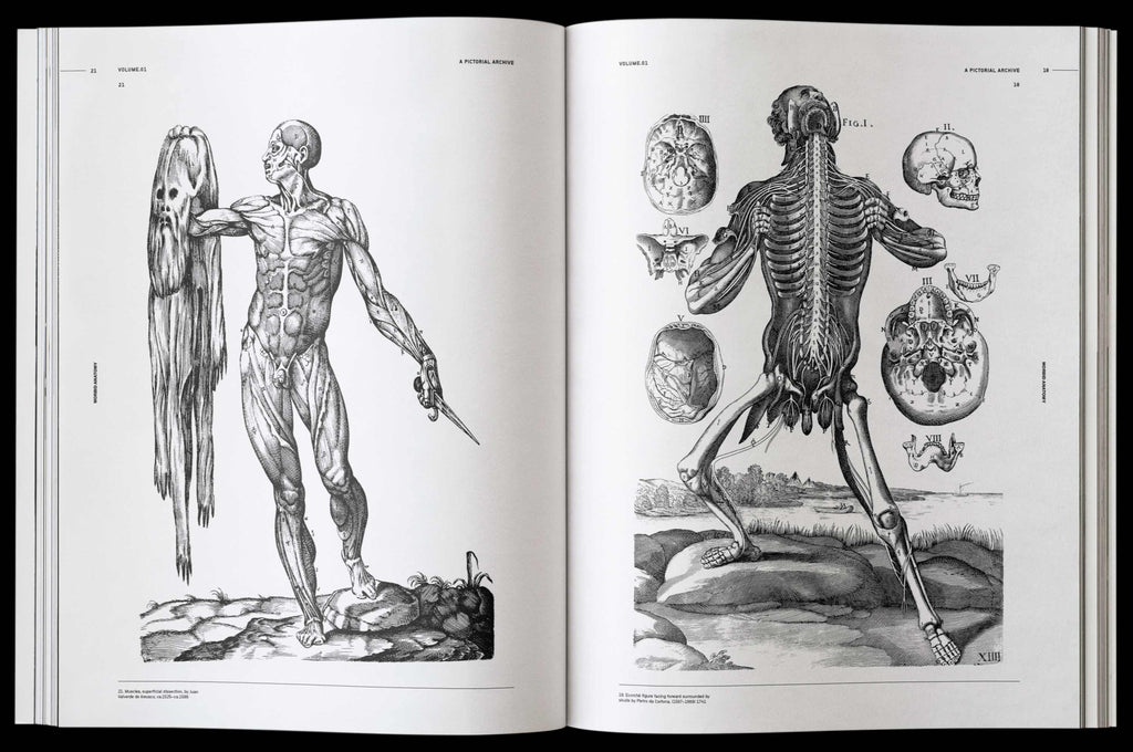 Morbid Anatomy Book by James Kale